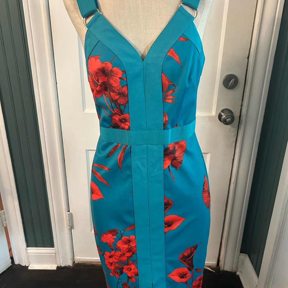Designer Ted Baker Blue and Red Dress NWOT, sz 2